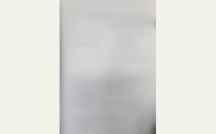 Permanently blurred preview of the non-invoice test document